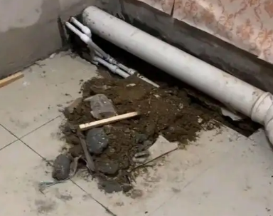 泰宁卫生间漏水检测哪家好